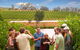 Yarra Valley Wine And Winery Tour From Melbourne - thumb 26