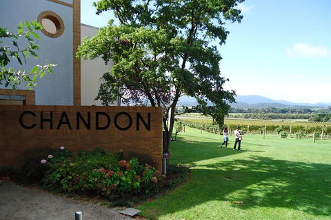 Yarra Valley Wine And Winery Tour From Melbourne - Events Australia 29