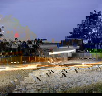 1 Day Private Phillip Island Tour VIP Charter up to 9 People - Events Australia