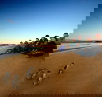 Phillip Island Ultimate Penguin Eco Tour or Skybox Experience - Events Australia