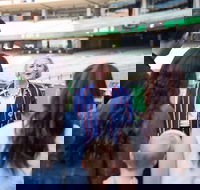 Melbourne Cricket Ground MCG Tour - Events Australia