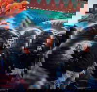 Fitzroy's Dark History  Hidden Bars - Events Australia