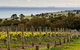Bellarine Peninsula Small Group Wine Tour With 2 Course Lunch And Morning Tea - thumb 0