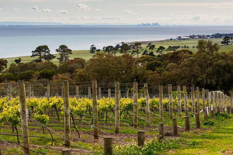 Bellarine Peninsula Small Group Wine Tour With 2 Course Lunch And Morning Tea - Events Australia 0
