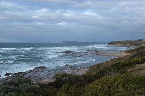 Wilsons Promontory Day Trip From Phillip Island - Events Australia 1