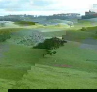 Day Tour of Phillip Island  Surrounding Region - Events Australia