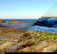 Phillip Island Walking  Bird Watching Tour - Events Australia