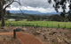 Small Public Yarra Valley Scenic Tour Inc 2 Course Lunch, Wine, Cheese - thumb 1