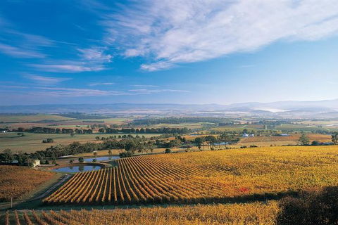 Half Day Yarra Valley Winery Day Trip From Melbourne - Events Australia 0