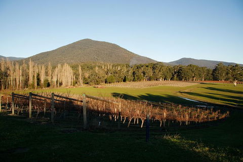 Half Day Yarra Valley Winery Day Trip From Melbourne - Events Australia 6