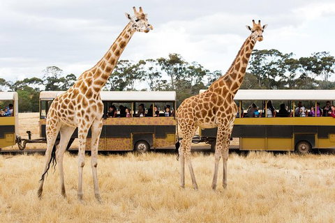 Werribee Open Range Zoo General Admission Ticket - Events Australia 2