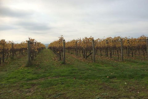 Customized Private Winery Day Tour In Mornington Peninsula At Your Own Choices - Events Australia 1