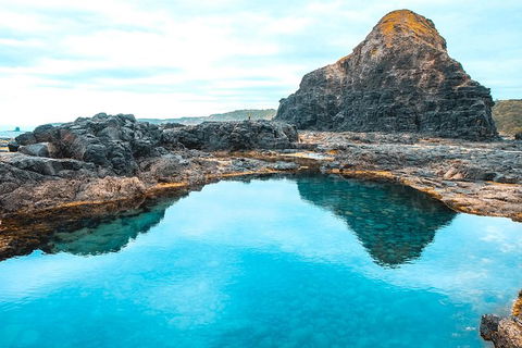 Small Group: Mornington Peninsula Hike And Hot Springs Day Tour From Melbourne - Events Australia 9