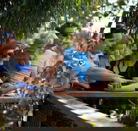 Phillip Island 3 Park Pass Penguin Parade Koala Conservation Centre and Penguin Parade Koala ConservationHeritage Farm - Events Australia