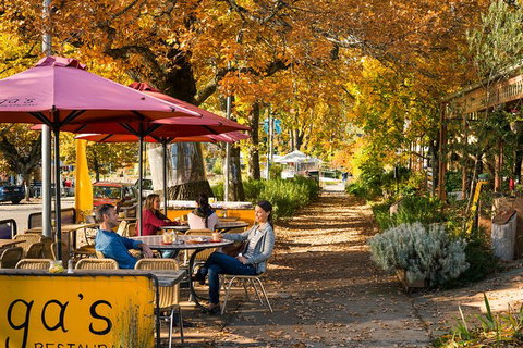 Lake Mountain Snow Trip Including Yarra Valley Chocolaterie From Melbourne - Events Australia 12