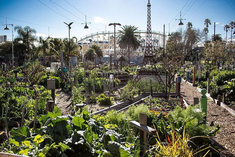 Sustainable Melbourne Tour - Events Australia 1