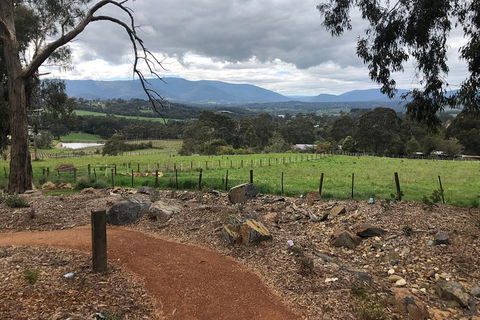 Yarra Valley Wine Tour Inc Lunch With A Glass Of Wine, Tastings And Chocolate - Events Australia 9