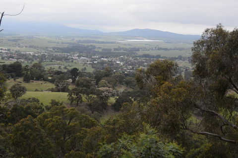 Yarra Valley Wine & Food Day Tour From Melbourne With Lunch At Yering Station - Events Australia 2