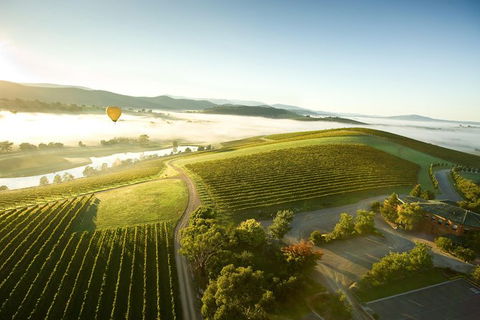 Yarra Valley Wine & Food Day Tour From Melbourne With Lunch At Yering Station - Events Australia 10