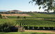 Small Group 6 Guests: Ultimate Yarra Valley Food And Wine - Mercedes Van - thumb 5