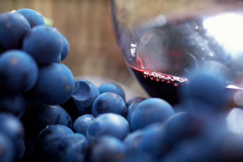 Small Group 6 Guests: Ultimate Yarra Valley Food And Wine - Mercedes Van - Events Australia 4