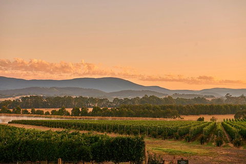 Yarra Valley Overnight Getaway And Private Wine Tour - For 2 - Tourism Bookings 8