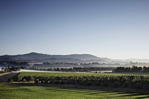 Chauffeured Cheese And Wine Tour With 3 Course Lunch - For 2 - Events Australia 3