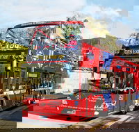 Hobart Hop-on Hop-off Bus Tour - Events Australia