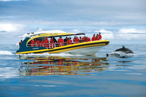 3-Hour Tasman Peninsula Wilderness Cruise From Port Arthur - Events Australia 5