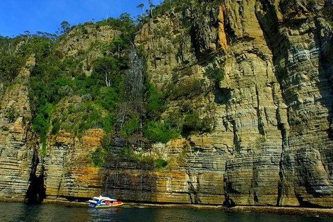 3-Hour Tasman Peninsula Wilderness Cruise From Port Arthur - Events Australia 7