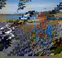 Port Arthur and Lavender Farm Active Day Tour - Events Australia