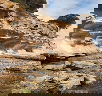 Maria Island premium private photo-oriented day tour from Hobart - Events Australia