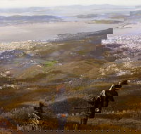 Mt Wellington Half Day Guided Summit Hike - Events Australia