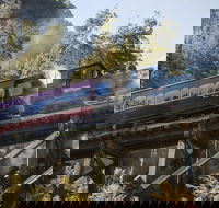 West Coast Wilderness Railway Queenstown Explorer from Strahan - Events Australia