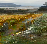 Mona and Wine Experience Tour - Events Australia