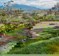 Shore Excursion Hobart's Best In Half A Day - Events Australia