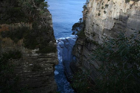 Cruise Ship Special From Port Arthur: Explore Tasman Peninsula With Free WiFi - Events Australia 1