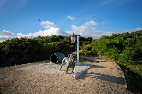 Cruise Ship Special From Port Arthur: Explore Tasman Peninsula With Free WiFi - Events Australia 9