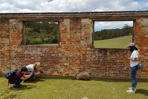 3-Day: Hobart Nature Walking Tour: Maria Island, Cape Raoul & Mount Field - Events Australia 8