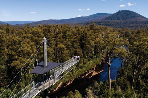 Cruise Ship Special From Hobart: Mt Wellington And Tahune AirWalk - Events Australia 6