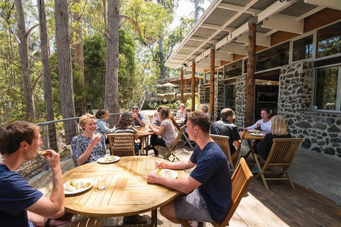 Cruise Ship Special From Hobart: Mt Wellington And Tahune AirWalk - Events Australia 7