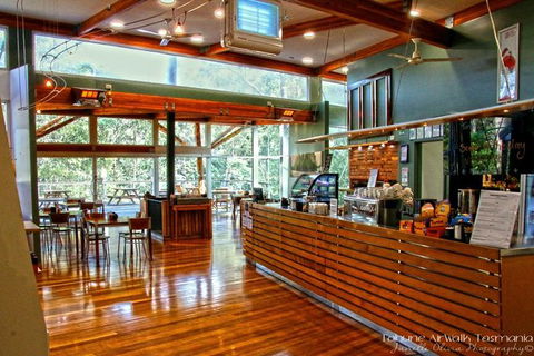 Cruise Ship Special From Hobart: Mt Wellington And Tahune AirWalk - Events Australia 5