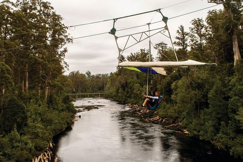 Cruise Ship Special From Hobart: Mt Wellington And Tahune AirWalk - Events Australia 3