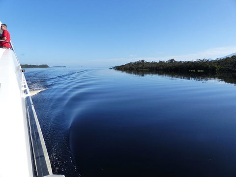 Gordon River Cruise Departing From Strahan - Events Australia 3