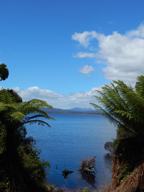 Gordon River Cruise Departing From Strahan - Events Australia 20