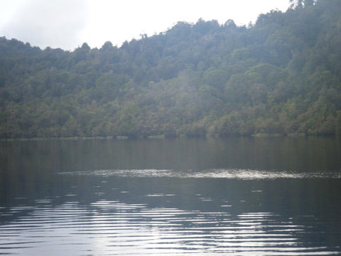 Gordon River Cruise Departing From Strahan - Events Australia 23