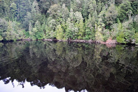 Gordon River Cruise Departing From Strahan - Events Australia 24