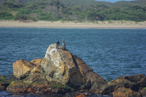 Gordon River Cruise Departing From Strahan - Events Australia 11
