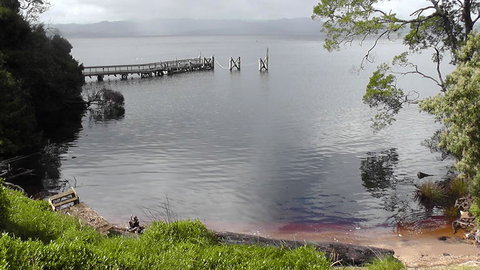 Gordon River Cruise Departing From Strahan - Events Australia 22