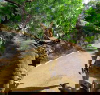 Wilderness and Wildlife - Events Australia